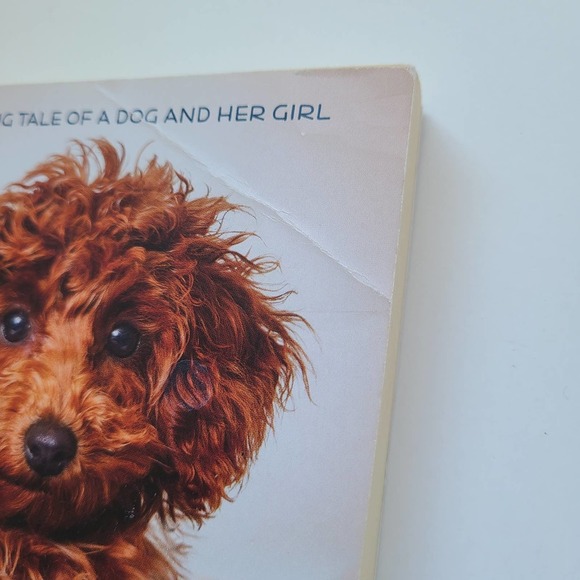 5/$15 - 3 Kids Dog Book Lot W Bruce Cameron Lily to the Rescue Molly's Ellie's - Picture 6 of 16